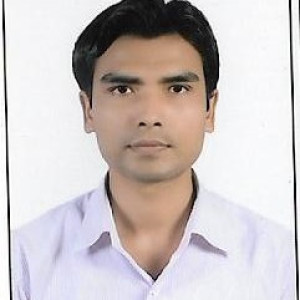 निरज चौधरी